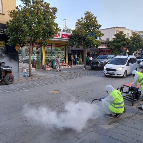 İlçe Merkezinde ilaçlama Faliyetleri Devam ediyor.