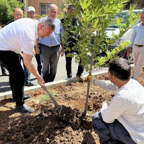 Yeni Devlet Hastahanesi Toki Bulvar çalışması devam ediyor