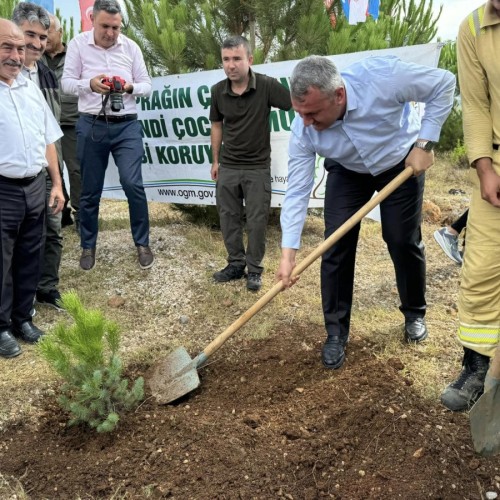 15 Temmuz Şehitleri Hatıra Ormanında fidan dikimi