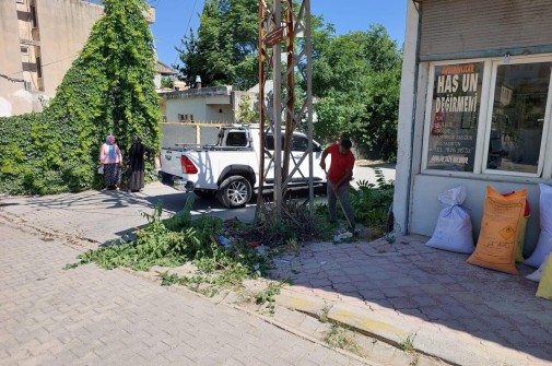 Cumhuriyet ve İstiklal Mahallelerimizde hafriyat, çöp ve ağaç budama çalışmaları devam ediyor.